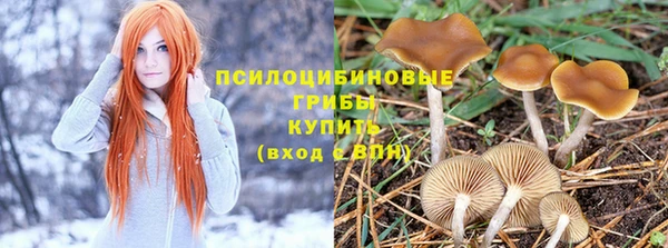марихуана Баксан