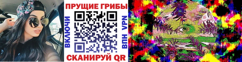 Галлюциногенные грибы мухоморы Котельниково